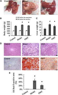 Hepatic Proteomic Changes and Sirt1/AMPK Signaling Activation by Oxymatrine Treatment in Rats With Non-alcoholic Steatosis